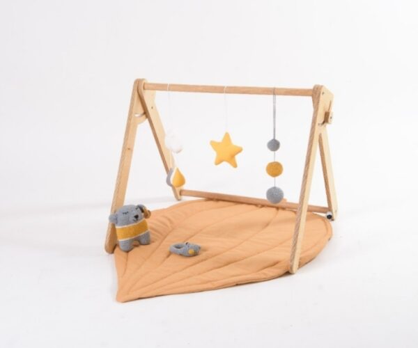 Baby Gym